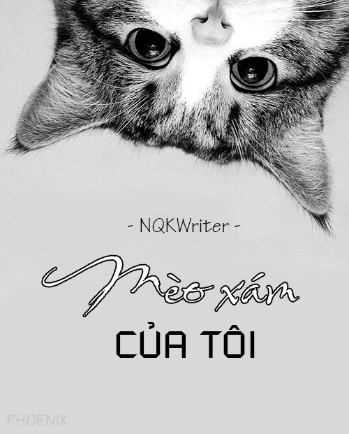 Mèo xám của tôi - NQKWriter